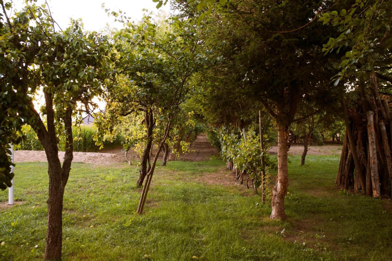 Domaine Des 4Roses -Spa Et Serenite Villa Furdenheim ภายนอก รูปภาพ