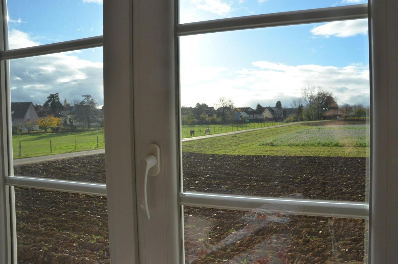 Domaine Des 4Roses -Spa Et Serenite Villa Furdenheim ภายนอก รูปภาพ