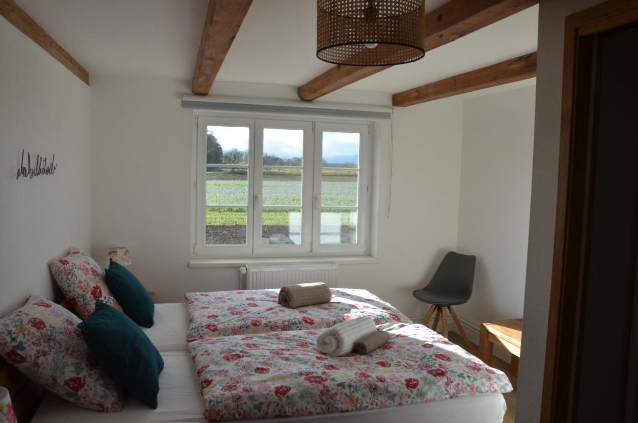 Domaine Des 4Roses -Spa Et Serenite Villa Furdenheim ภายนอก รูปภาพ