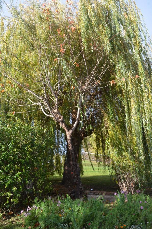 Domaine Des 4Roses -Spa Et Serenite Villa Furdenheim ภายนอก รูปภาพ